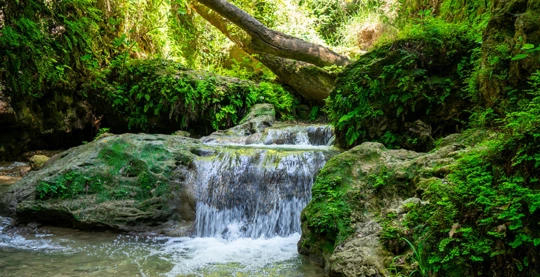 Excursion safari à Fethiye