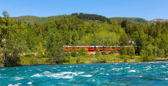 Excursion to the Bergensbanen railway line