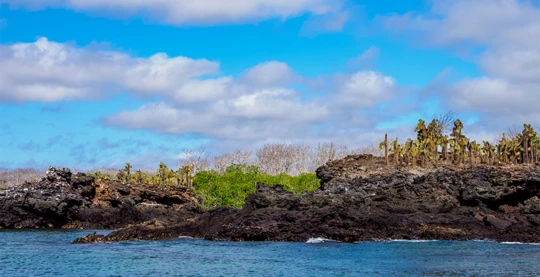 Walk in Cerro Dragon