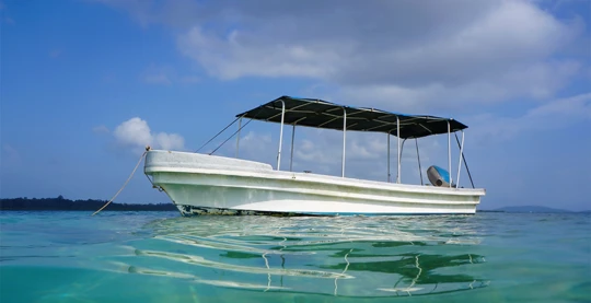 Excursion en bateau panga
