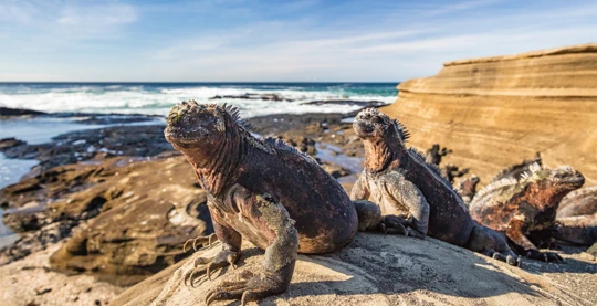 Visit of Puerto Egas