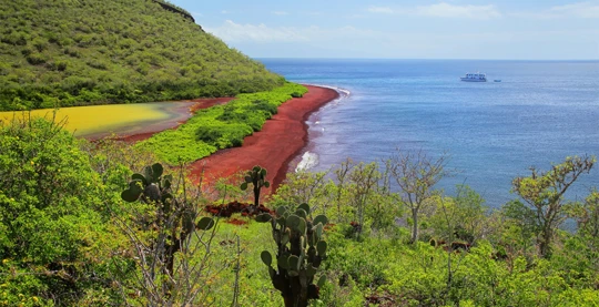 Promenade en bateau panga le long de la côte de l'île de Rabida