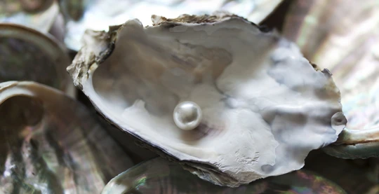 Discovery of Aljui Bay’s pearl farm