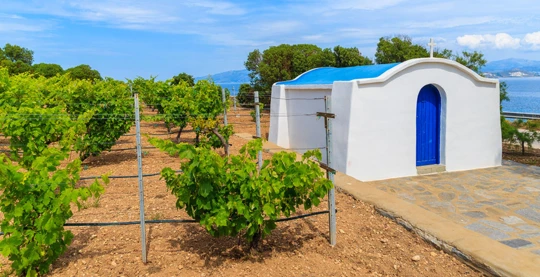 Dörfer, Basilika und Weinberge auf Paros