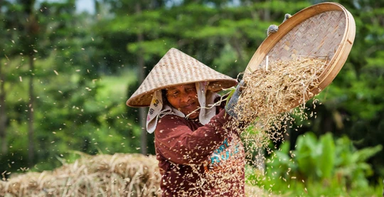Visita al villaggio di Pamulung
