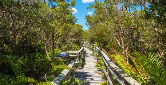 Senderismo en el Parque Nacional de Chiloé