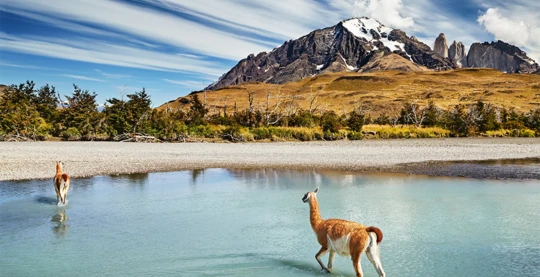 Senderismo en el Parque Torres del Paine