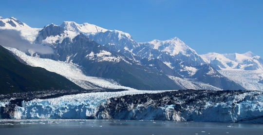 Expedition boat outing amidst the glaciers of College Fjord
