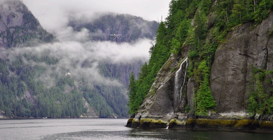 Expedition boat trip in the Misty Fjords region