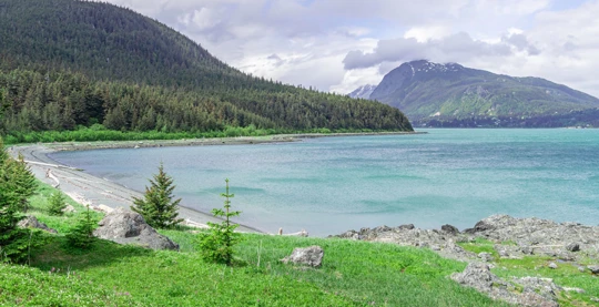 Coastal Hike at Chilkat Inlet