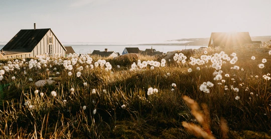 Visite de la communauté d’Ittoqqortoormiit