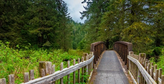 Sitka - Hike in the Tongass National Forest