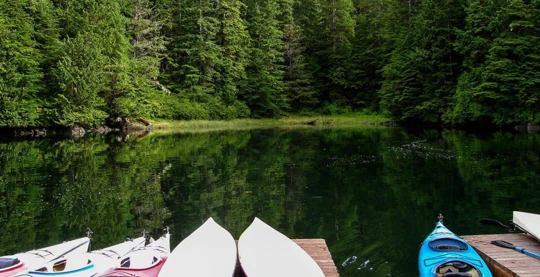 Kayak Adventure in Sitka