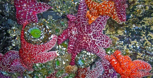 Sitka - Alaska Expedition Boat Adventure and Fin Island Lodge