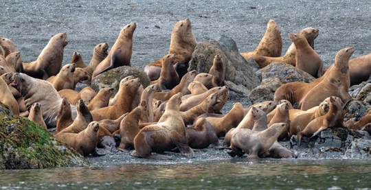 Landing at Saint Paul