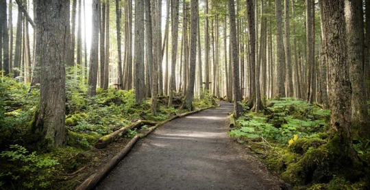 Wrangell - Hike to Rainbow Falls