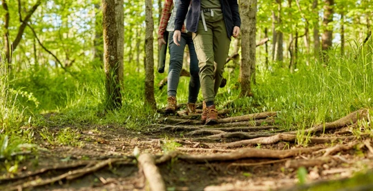 Wrangell - Walk in the Tongass National Forest Reserve