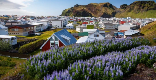 Heimaey - Découverte de Heimaey en bateau