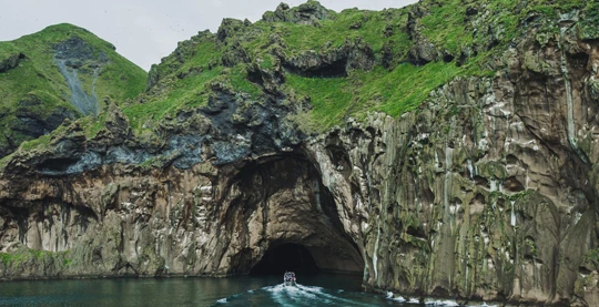 Heimaey - Safari en bateau semi-rigide