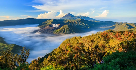 Le mont Bromo sur l’île de Java, un volcan encore en activité au centre d’un paysage lunaire