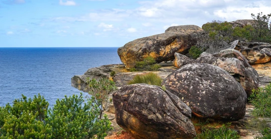 Da Lizard Island, un'escursione di snorkeling nella barriera corallina di Watson Bay