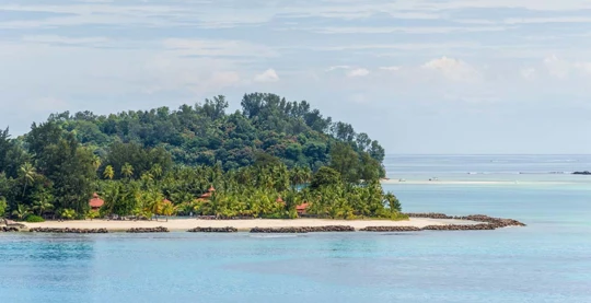 Visita al Parque Marino de Sainte-Anne