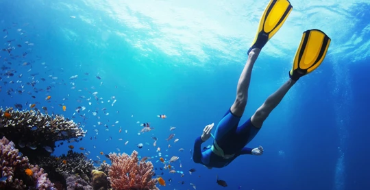 Randonnée palmée dans l’aquarium de Rangiroa
