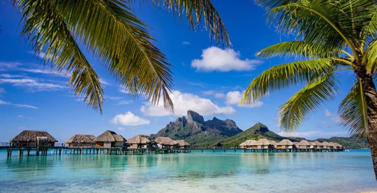 Excursion sur l’île de Bora-Bora avec « Le Truck »