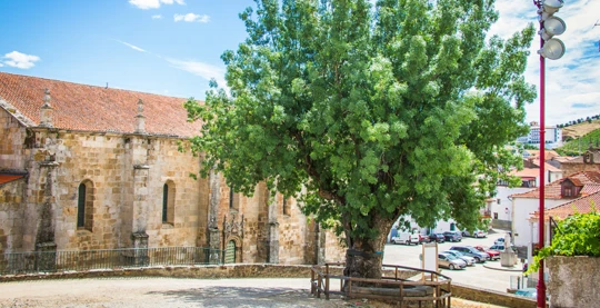 Vega Terron: excursion to Freixo de Espada à Cinta