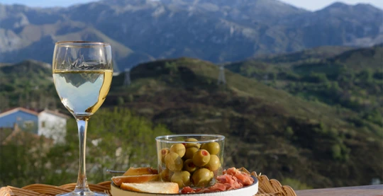 Visite de la cave Volacus