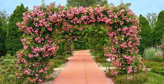 Excursion to the gardens of Tulln