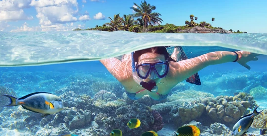 Attività acquatiche