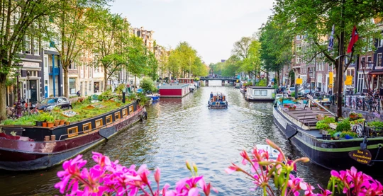 Amsterdam: city tour including canal cruise