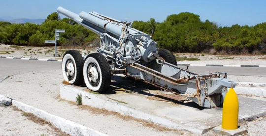 Visita a la Isla de Robben con guía