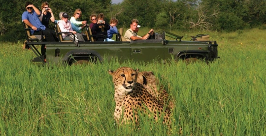 Safari por el Parque Nacional Chobe en vehículo 4x4 descapotable