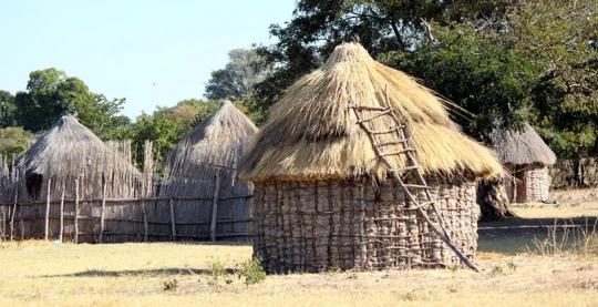 Visita a una aldea africana local