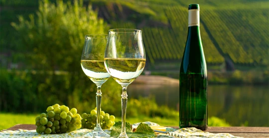 Escursione e degustazione di vini “Winzerexpress