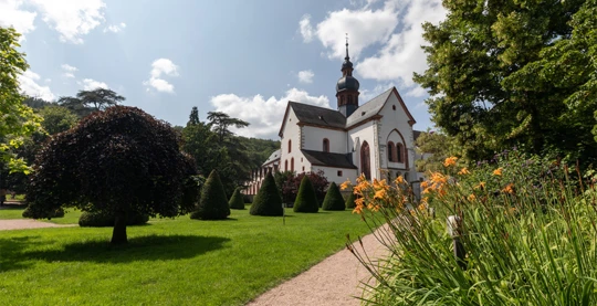 Escursione nel Rheingau e nel monastero di Eberbach