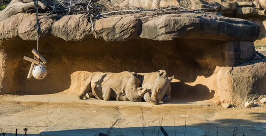 Le parc national d’Ujung Kulon