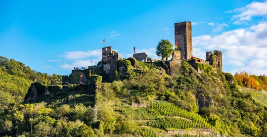 Visite guidée de la ville de Beilstein et du château de Metternich
