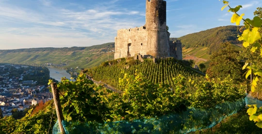 Visite guidée de Bernkastel-Kues