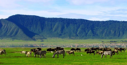 Exploración del Cráter de Ngorongoro