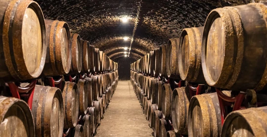 Traben-Trarbach : orientation souterraine