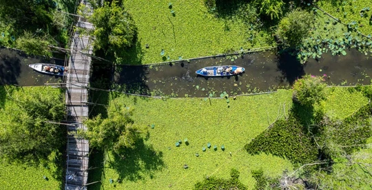 Forêt et sanctuaire de Tra Su