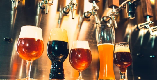 Cervecería Lofotpils