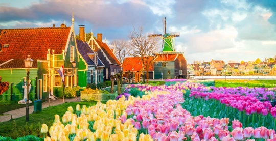 Dordrecht: UNESCO heritage - Kinderdijk
