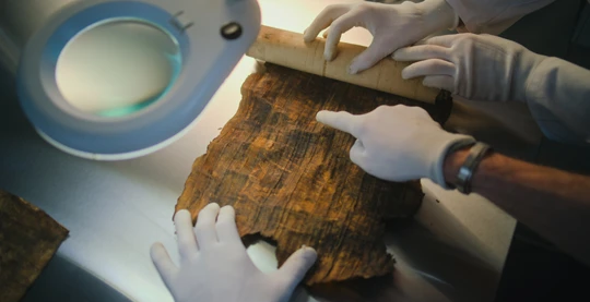 Besuch eines Papyrus-Instituts