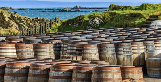La possibilité de participer à des dégustations de whisky en Irlande et de vin dans la région de Bordeaux