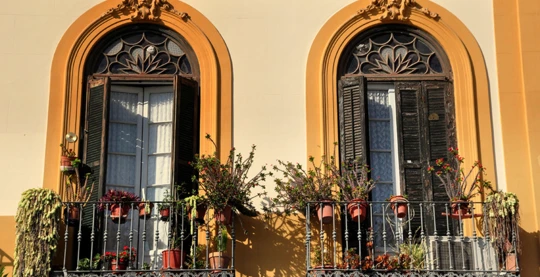 Pablo Picasso's birthplace