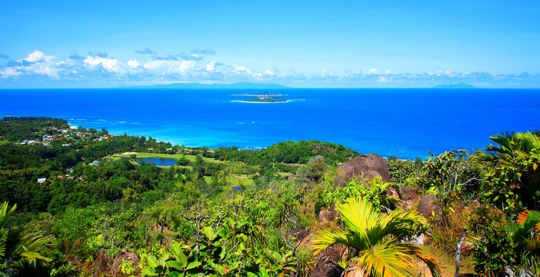 Ile Cousin, reserva natural y auténtico paraíso, alberga el mayor número de plantas y animales endémicos de las Seychelles